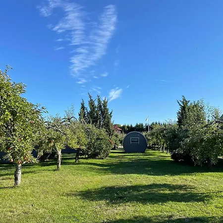 Campsite Vetsi Talli Village