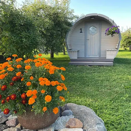 Vetsi Talli Village Campsite *